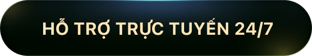 Hỗ trợ trực tuyến 24/7